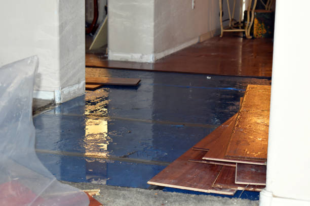 Professional Burst Pipe Cleanup technician working in Columbia Falls, ME